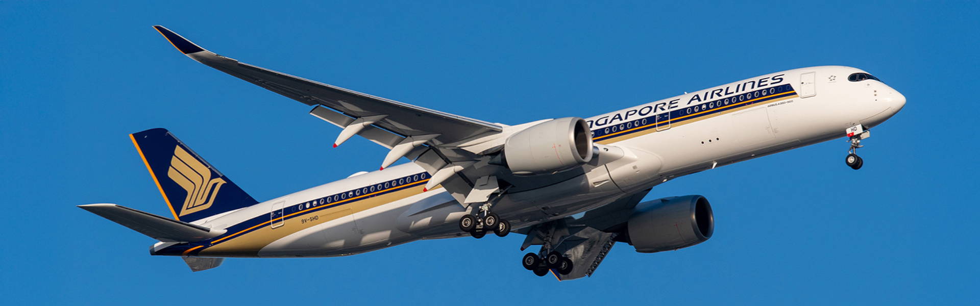 Aergo_Insights_Header_1920x600_2024-01-09