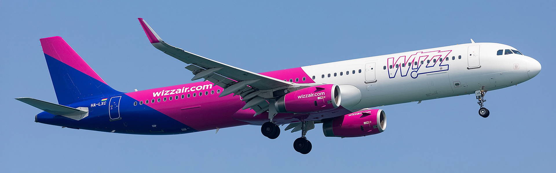 Aergo_Insights_Header_1920x600_2024-11-05
