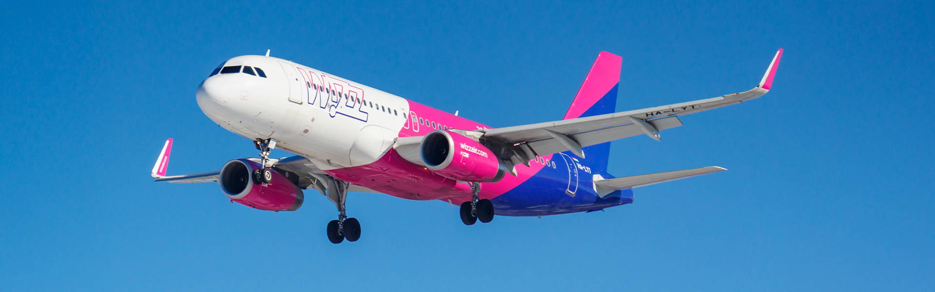 Aergo_Insights_Header_1920x600_2025-01-10
