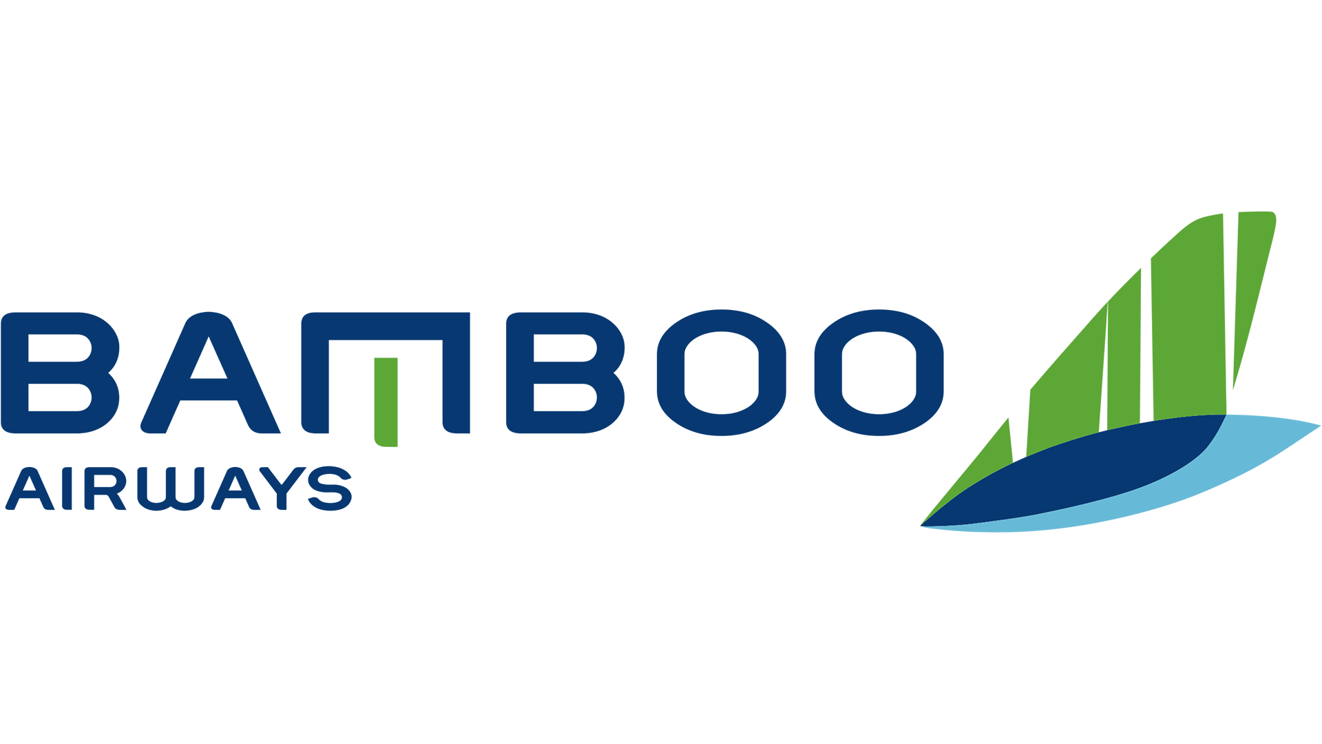 Aergo_Clients_Bamboo Airways