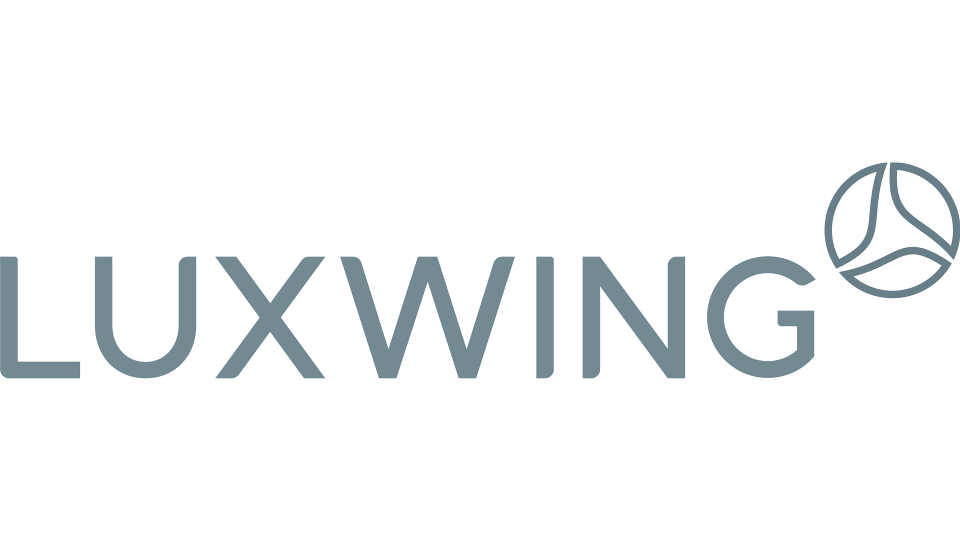 Aergo_Clients_Luxwing